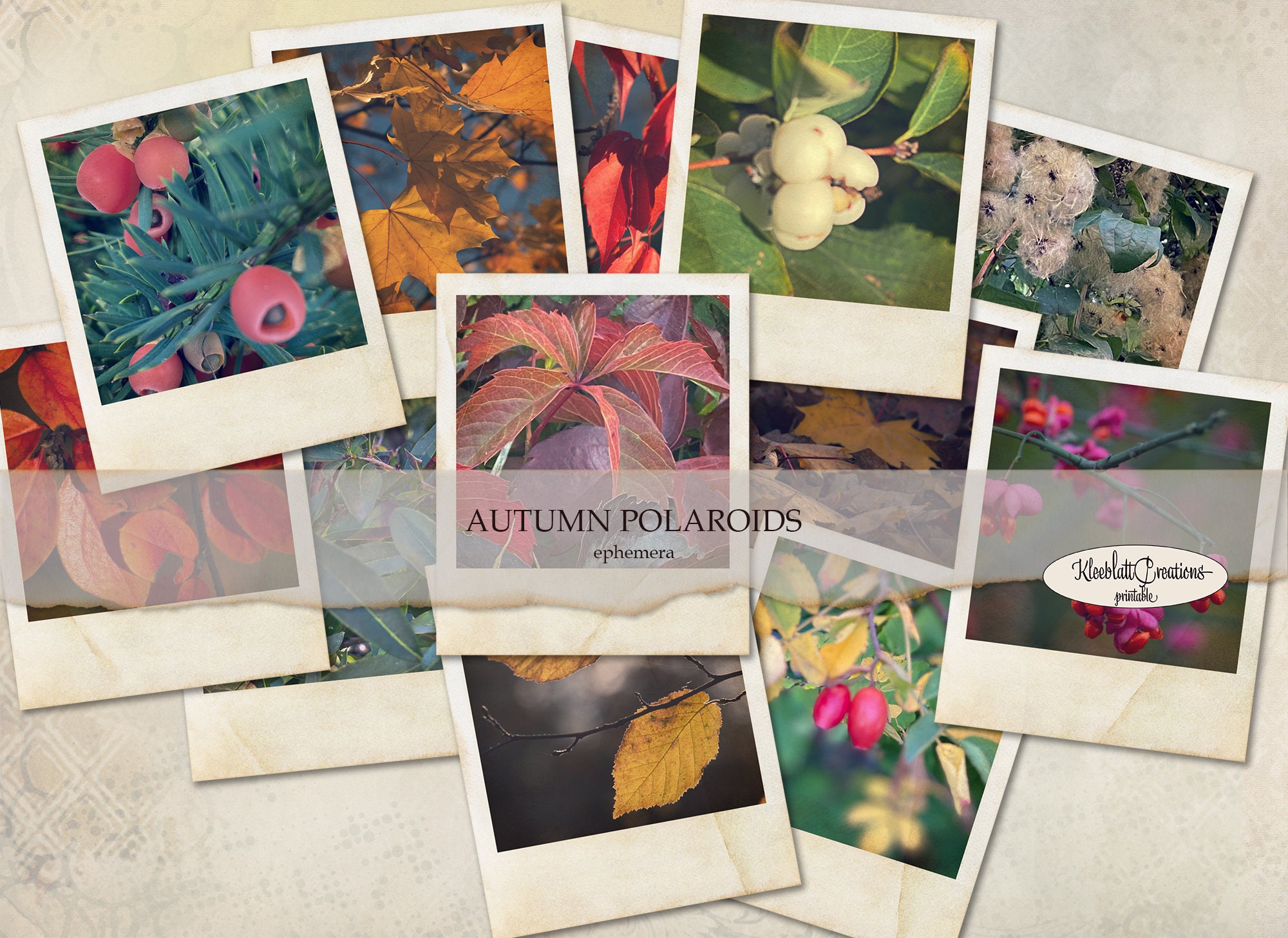 Cozy Autumnal Polaroid - Printable and Digital Sticker - Au'riginalité