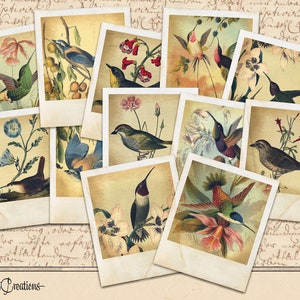 Könnte beinhalten: Eine Collage aus zehn Bildern im Vintage-Stil mit verschiedenen Vögeln und Blumen. Die Bilder sind in einem Raster angeordnet und haben einen verblassten, antiken Look. Jedes Bild zeigt eine andere Vogelart, darunter Kolibris, Spatzen und Blaumeisen, sowie farbenfrohe Blumen und Blätter.