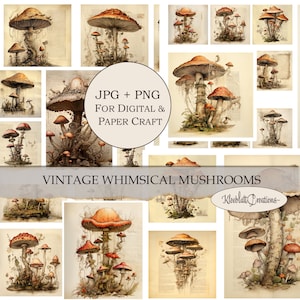 CHAMPIGNONS FANTAISIES vintage, CU, Téléchargement numérique, Junk Journal, Cartes de journalisation, Champignons fantaisistes, Clipart, Png, Art numérique, scrapbook