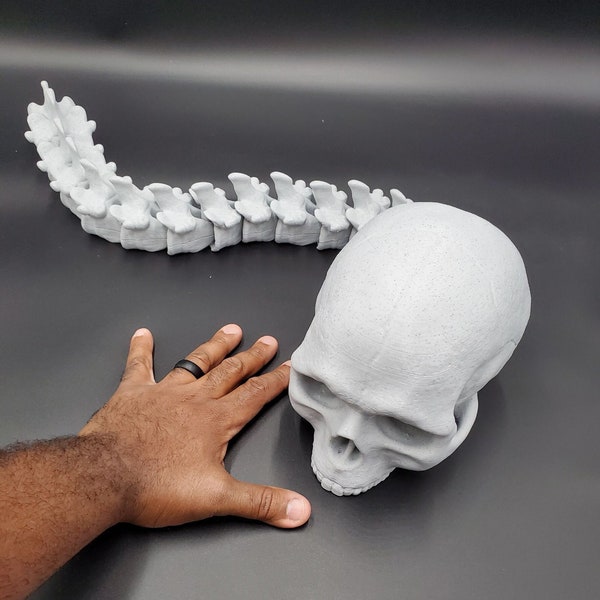 Life size | 1:1 | Predator Trophy Skull & Spine | Articulated | Flexible | Fidget Toy | 3D Printed