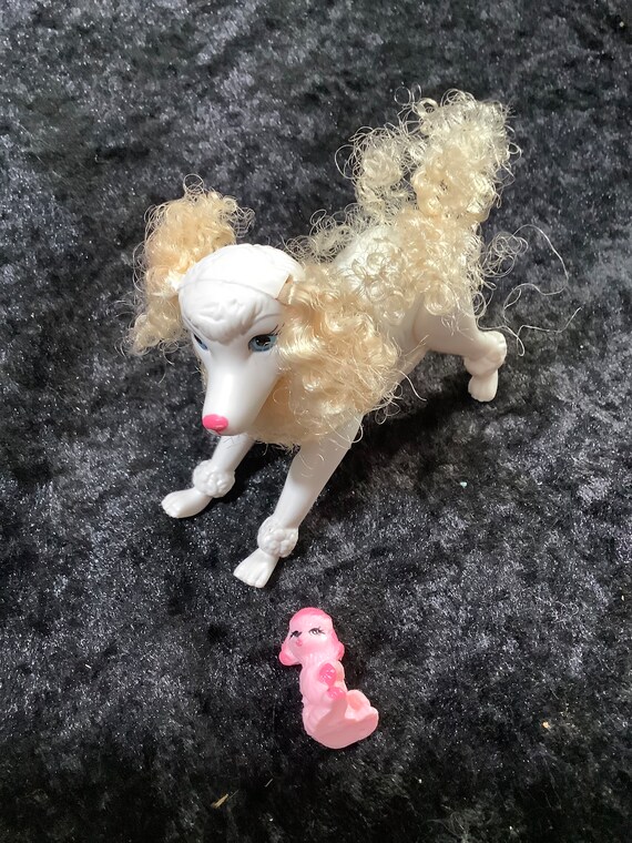 Pregnant shop toy poodle