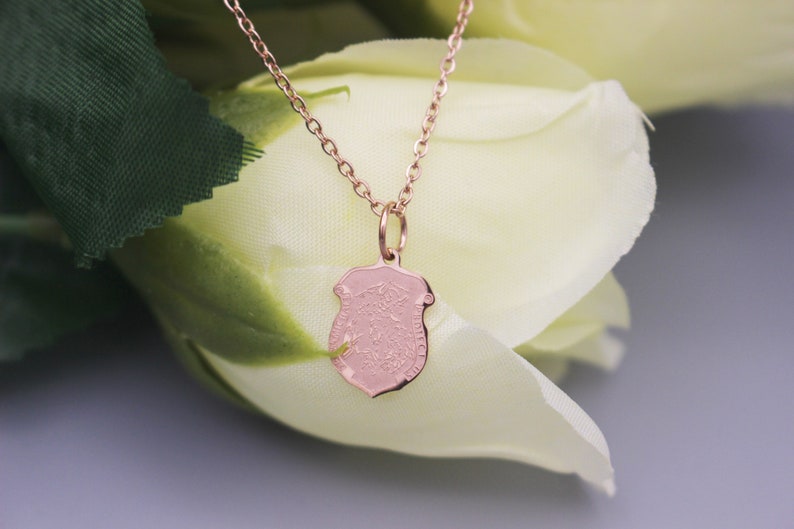 May include: A rose gold necklace with a small, detailed shield pendant. The pendant is a delicate, intricate design.
