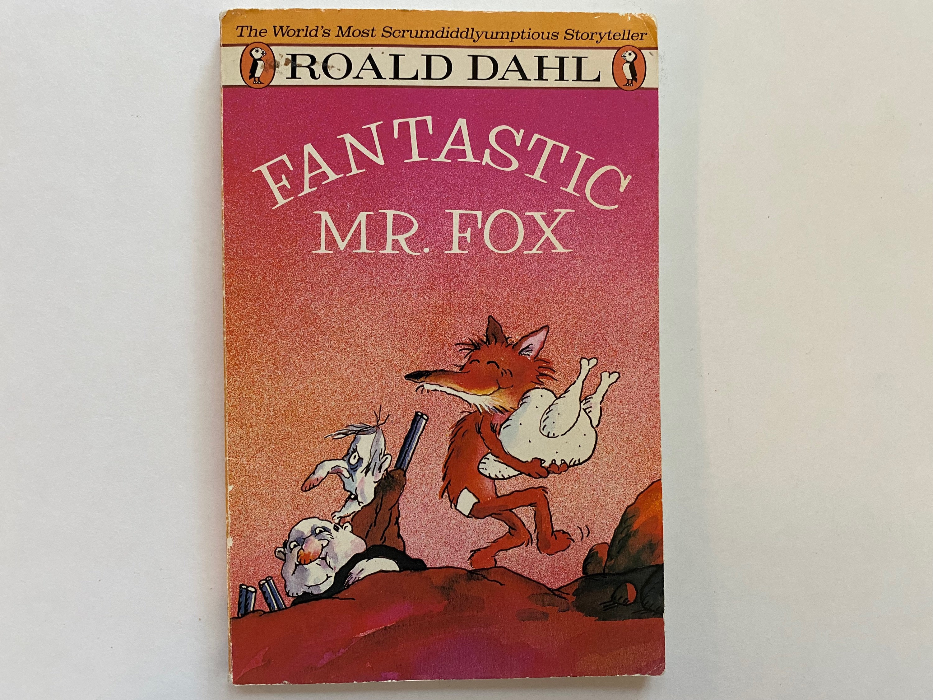 Fantastic Mr Fox Book