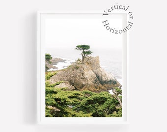 Lone Cypress Photography Print: Monterey California Coastal Wall Art