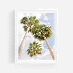 Palm Tree Photography, Palm Tree Print, Tropical Wall Art, Palm Tree Picture, Coastal Photography, Tropical Print
