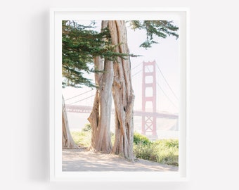 May include: A view of the Golden Gate Bridge in San Francisco, California, seen through the branches of two large trees. The bridge is red and orange and the trees are brown and green.