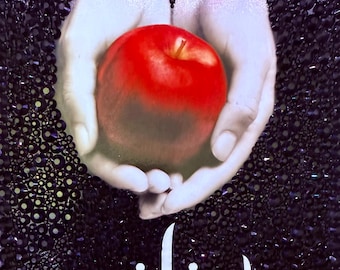Bedazzled Twilight Paperback – Handmade Rhinestone Book Cover | YA Vampire Romance Collector Edition