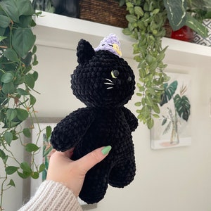 May include: A black crocheted cat plush toy wearing a purple and yellow crocheted hat. The cat has green eyes and a white crocheted nose.