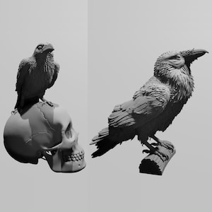 Puede incluir: Dos esculturas detalladas de aves. Una es un cuervo posado en un tronco, la otra es un pájaro más pequeño sobre un cráneo humano. Ambas están en una escala de grises, con intrincados detalles de plumas.