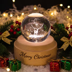 Boule à Neige Cadeau De Noël - Rouge-gorge Sur Branche (Heaven Sends, 13.5x9.5cm)