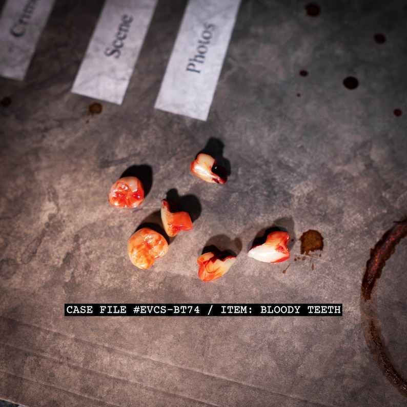 Fake Human Teeth Set | Distressed, Bloody, and Aged for Haunted Houses, Movie Props, or Creepy Home Displays, Macabre Decor, Halloween Decor image 1