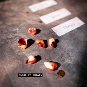 Fake Human Teeth Set | Distressed, Bloody, and Aged for Haunted Houses, Movie Props, or Creepy Home Displays, Macabre Decor, Halloween Decor image 4