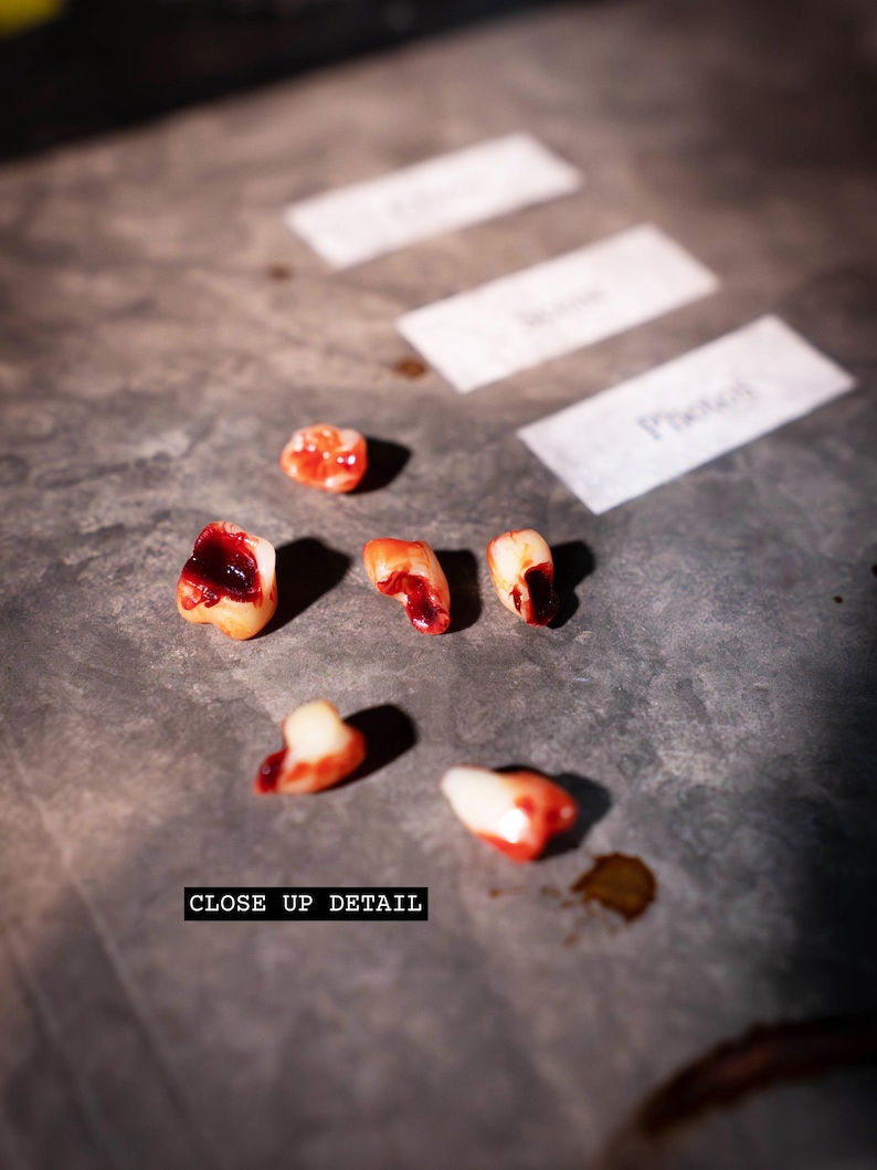 Fake Human Teeth Set | Distressed, Bloody, and Aged for Haunted Houses, Movie Props, or Creepy Home Displays, Macabre Decor, Halloween Decor image 4