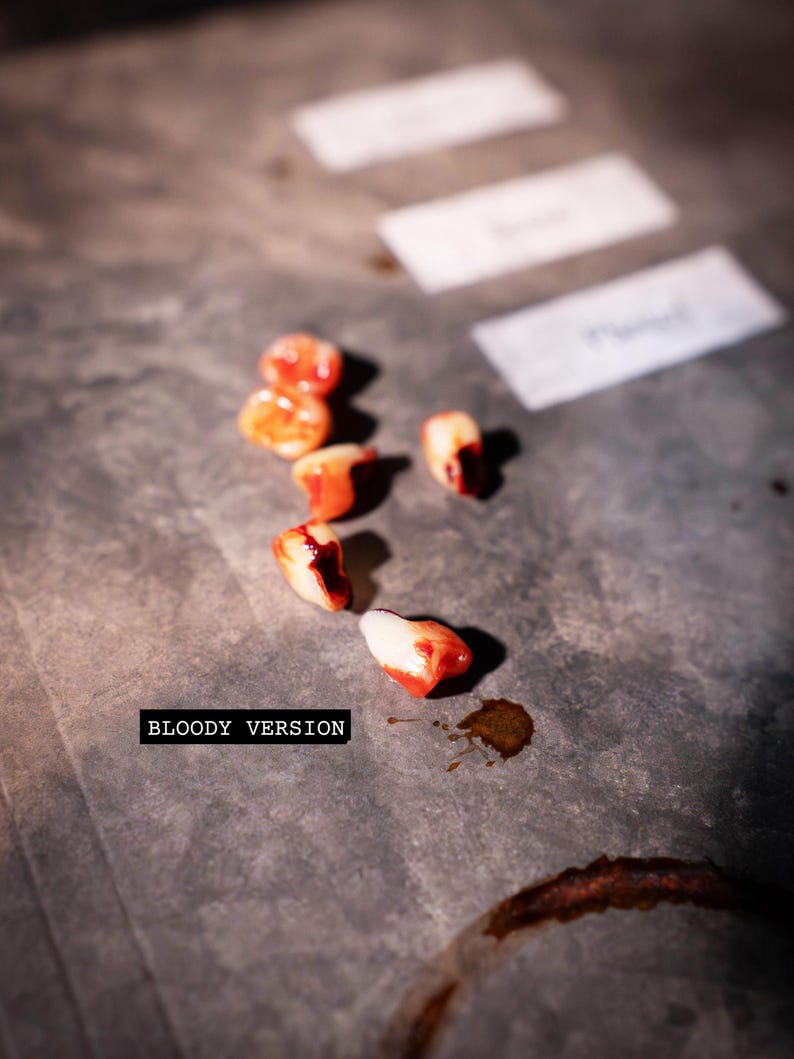 Fake Human Teeth Set | Distressed, Bloody, and Aged for Haunted Houses, Movie Props, or Creepy Home Displays, Macabre Decor, Halloween Decor image 3