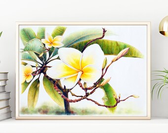 contemporary art floral pink plumeria alba drawing. macro flower colored pencils and soft pastels on paper Frangipani original drawing