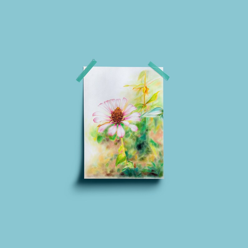 Youth and Age Flower Prints, Colored Pencil Drawing, Printable Art