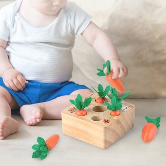 Montessori Wooden Carrot Sorting Puzzle Preschool Learning Etsy