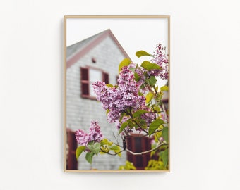 Cape Cod Photography by simplymekb - Un-Framed Photo Print of Lilac Flowers in Bloom