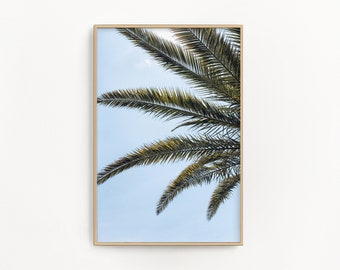 Bermuda Photography by simplymekb - Un-Framed Photo Print of Palm Frond Leaves