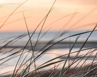 Cape Cod Photography by simplymekb - Un-Framed Photo Print of the Beach Grass during Sunset at First Encounter Beach in Eastham