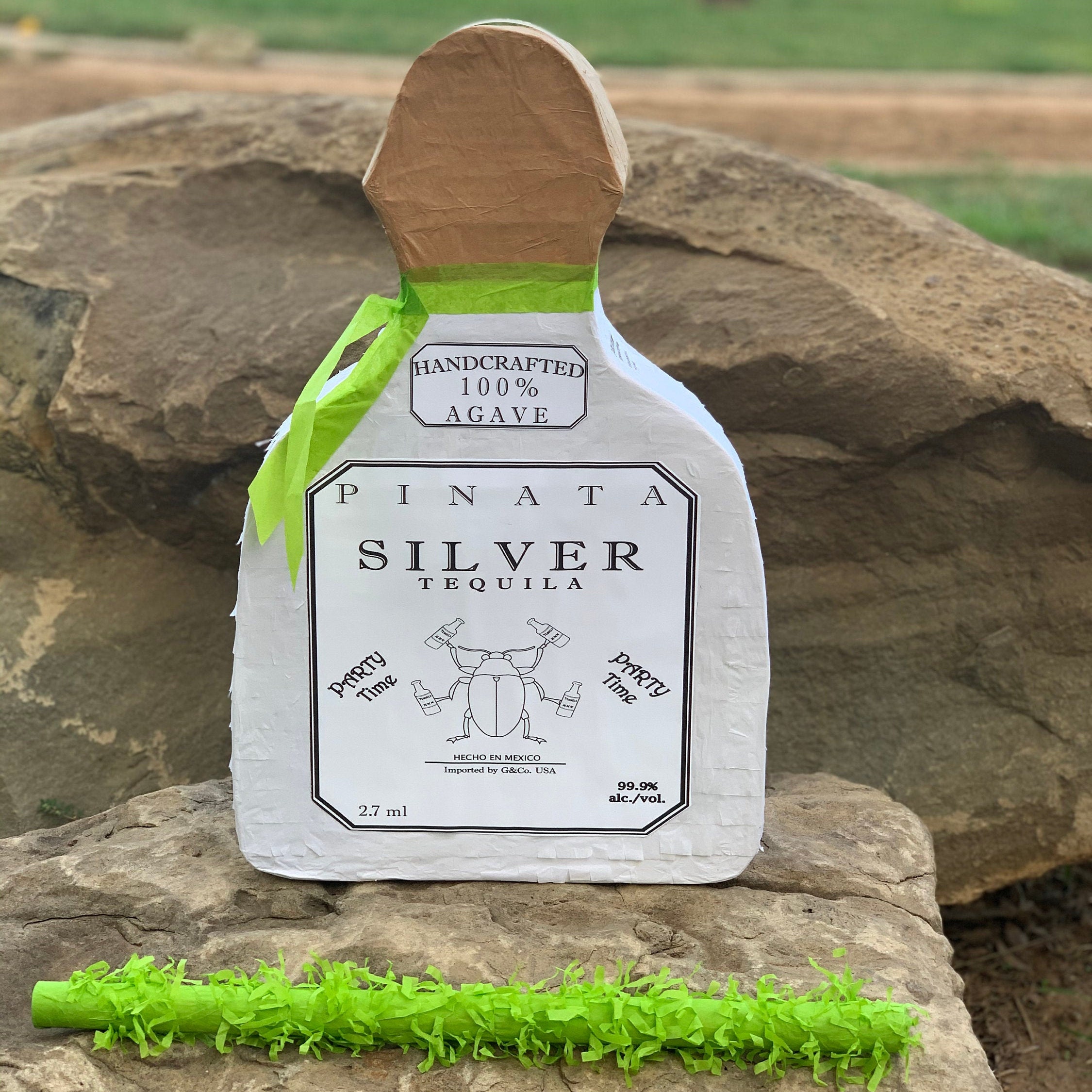 Tequila Bottle Pinata with Stick Etsy