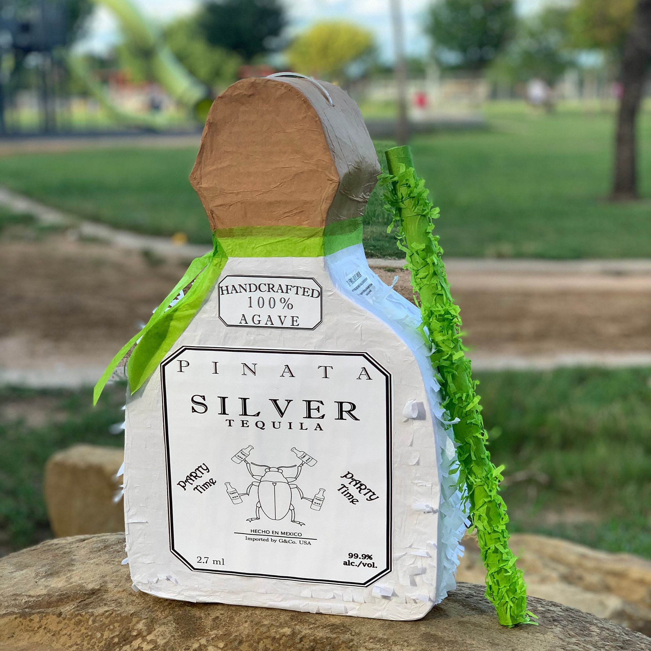 Tequila Bottle Pinata with Stick Etsy