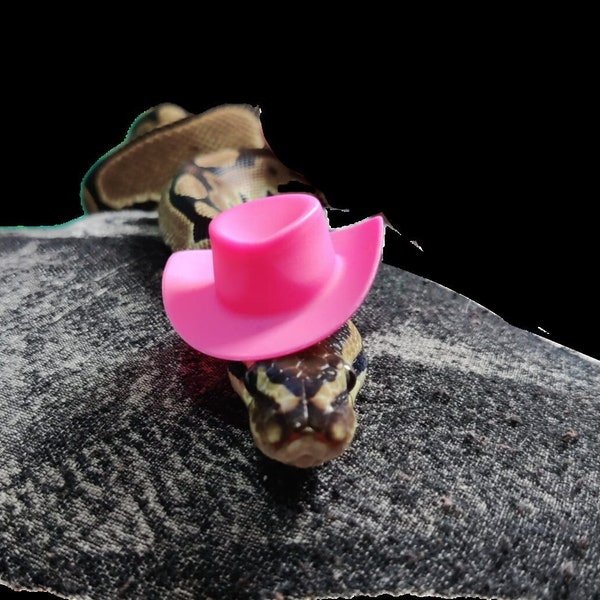 Howdy // Pink Cowboy Mini Plastic Pets Hat For Frog Snake Guinea Pig Hamster Bird Gecko Lizard Cute Accessories Gift Animal Lover Pet Rat UK
