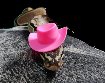 Howdy // Pink Cowboy Mini Plastic Pets Hat For Frog Snake Guinea Pig Hamster Bird Gecko Lizard Cute Accessories Gift Animal Lover Pet Rat UK