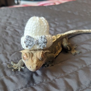 Take A Bow // Mini Pets Hat Knitted Beanie Small Animals Gift Idea For Snakes Geckos Hedgehog Guineapig Hamster Frog Bird Reptiles Bling Fun image 1