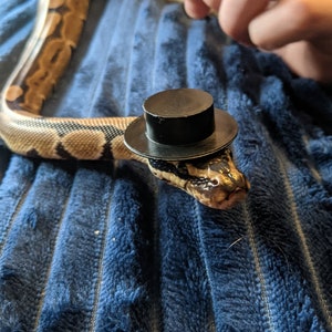 Good Sir // Mini Black Top Hat For Pets Snake Hamster Gecko Guinea Pig Hedgehog Frog Reptile Cute Cat Rabbits Birds Small Animal Accessories