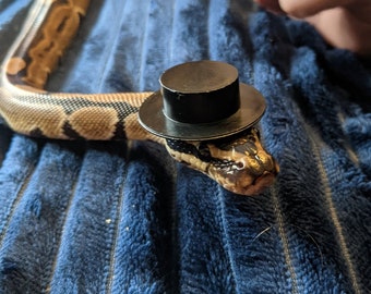 Good Sir // Mini Black Top Hat For Pets Snake Hamster Gecko Guinea Pig Hedgehog Frog Reptile Cute Cat Rabbits Birds Small Animal Accessories