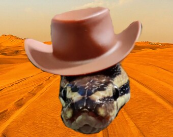 Yeehaw // Brown Cowboy Mini Plastic Pets Hat For Frog Snake Guinea Pig Hamster Bird Gecko Lizard Cute Accessories Gift Animal Lover Pet Rat