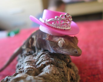 Wild Wild Princess // Cowboy Tiara Pink Mini Pets Hat For Frog Snake Guinea Pig Hamster Gecko Lizard Cute Gifts Small Animals Hedgehog Rat