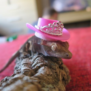 Wild Wild Princess // Cowboy Tiara Pink Mini Pets Hat For Frog Snake Guinea Pig Hamster Gecko Lizard Cute Gifts Small Animals Hedgehog Rat