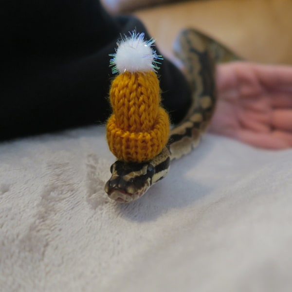 Serpiente acurrucada // Gorro de punto para mascotas Mini invierno Pom Accesorios de regalo para animales pequeños Glitter Guinea Pig Gecko Conejos Rana Erizo Beardie