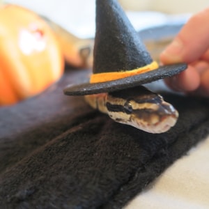 Hissy Halloween // Mini Black Witches Hat For Snakes Reptiles Pets Hamster Guinea Pig Fancy Dress Spooky Wizard Cute Gift Frogs Cats Animals image 1