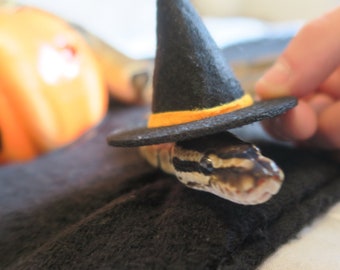 Hissy Halloween // Mini Black Witches Hat For Snakes Reptiles Pets Hamster Guinea Pig Fancy Dress Spooky Wizard Cute Gift Lover Frogs Cats x