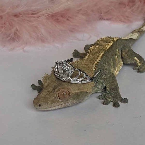 Pet Princess // Mini Tiara Crown For Pets Reptiles Snakes Frogs Guinea Pigs Hedgehogs Birds Geckos Gift Idea Small Animals Accessories Hat