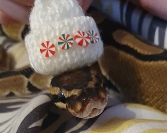 Peppermint Swirl // Knitted Candy Cane Mini Pets Hat For Frog Gecko Beanie Hamster Guinea Pig Snake Cute Gift Idea Animal Lovers Accessories