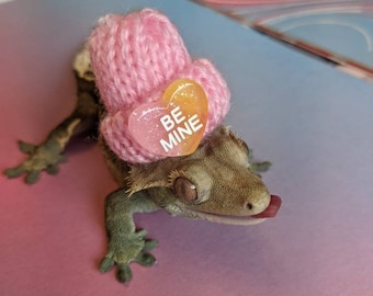 Be Mine // Mini Hat For Pets Tiny Small Knitted Beanie Love Heart Pet Lovers For Snake Hamster Gecko Rat Birds Frog Guinea Pigs Reptiles Cat