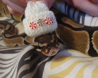 Peppermint Swirl // Knitted Candy Cane Tiny Pets Hat Sweet For Frog Gecko Beanie Hamster Guinea Pig Snake Clothes Cute Gift Idea UK Mini