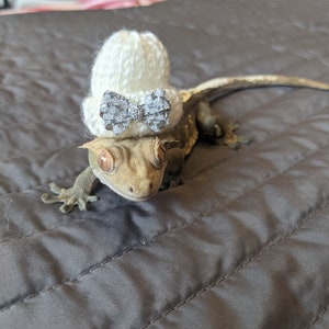 Take A Bow // Mini Pets Hat Knitted Beanie Small Animals Gift Idea For Snakes Geckos Hedgehog Guineapig Hamster Frog Bird Reptiles Bling Fun image 4