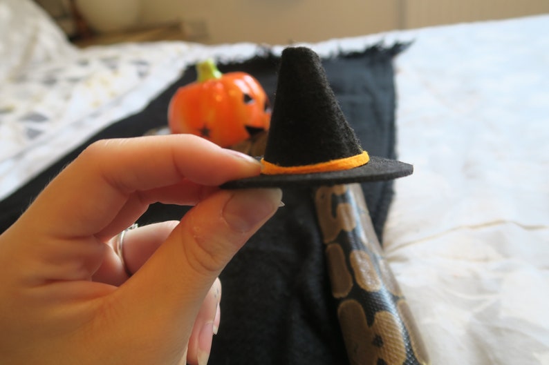 Hissy Halloween // Mini Black Witches Hat For Snakes Reptiles Pets Hamster Guinea Pig Fancy Dress Spooky Wizard Cute Gift Frogs Cats Animals image 9