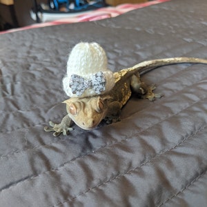 Take A Bow // Mini Pets Hat Knitted Beanie Small Animals Gift Idea For Snakes Geckos Hedgehog Guineapig Hamster Frog Bird Reptiles Bling Fun image 3