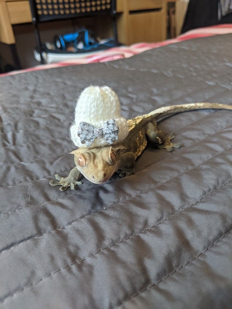 Take A Bow // Mini Pets Hat Knitted Beanie Small Animals Gift Idea For Snakes Geckos Hedgehog Guineapig Hamster Frog Bird Reptiles Bling Fun image 3