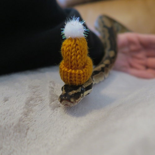 Snuggly Snake // Knitted Pet Beanie Hat Mini Winter Pom Animal Lover Gift Accessories Glitter Guinea Pig Gecko Rabbits Frog Hedgehog Beardie