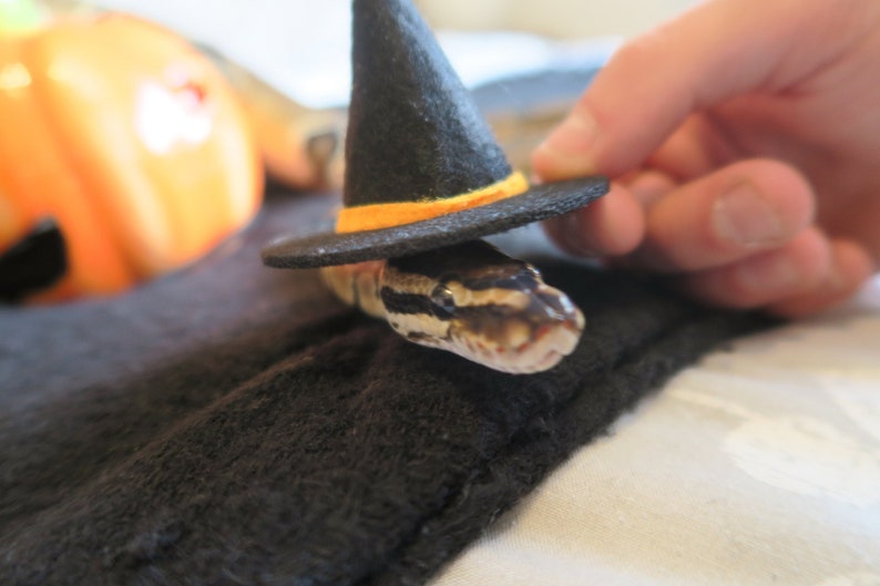 Hissy Halloween // Mini Black Witches Hat For Snakes Reptiles Pets Hamster Guinea Pig Fancy Dress Spooky Wizard Cute Gift Frogs Cats Animals image 1