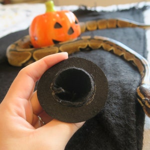 Hissy Halloween // Mini Black Witches Hat For Snakes Reptiles Pets Hamster Guinea Pig Fancy Dress Spooky Wizard Cute Gift Frogs Cats Animals image 8