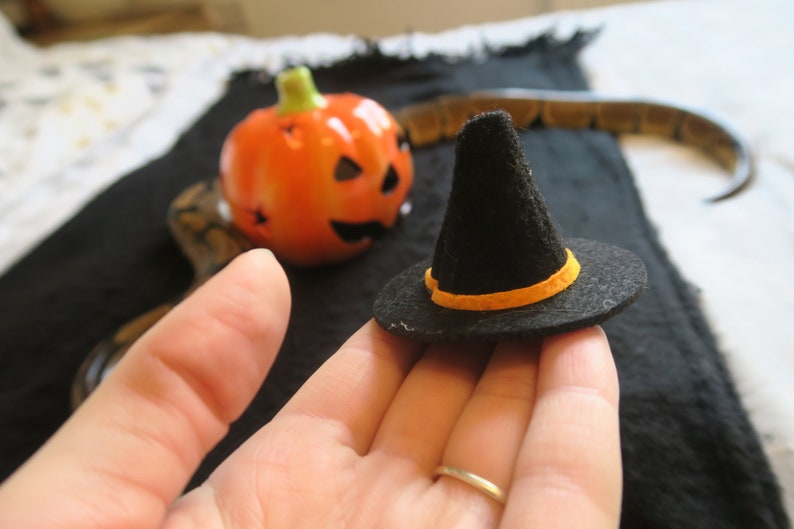 Hissy Halloween // Mini Black Witches Hat For Snakes Reptiles Pets Hamster Guinea Pig Fancy Dress Spooky Wizard Cute Gift Frogs Cats Animals image 7