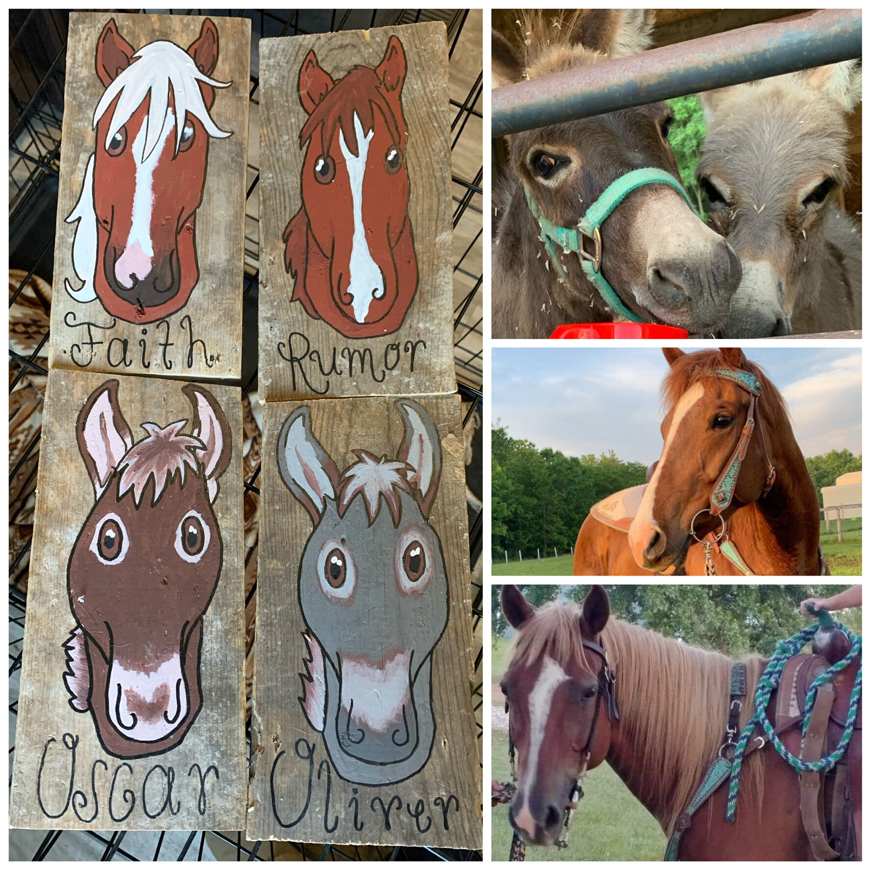 Pony Plates Portrait Horse Stall Plaques Handmade Stall Etsy